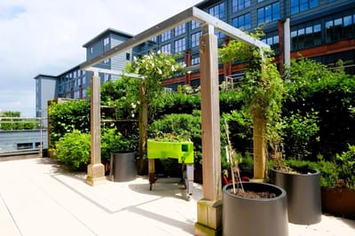 Well-maintained outdoor garden space
