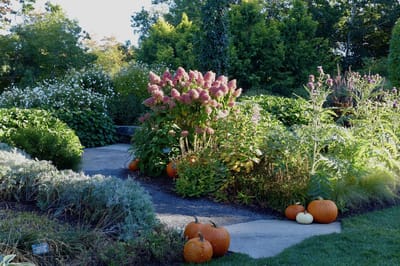 Colorful garden with pumpkins and flowers.
