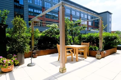 Outdoor seating area surrounded by greenery
