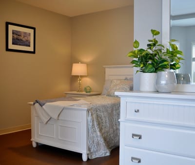 Cozy bedroom with soft lighting and plants.