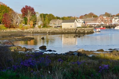 View of a serene waterfront with colorful trees