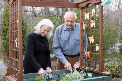 Residents gardening in an outdoor space