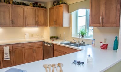 Modern kitchen interior with wooden cabinets and natural light