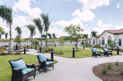 Outdoor seating area with palm trees and pathways
