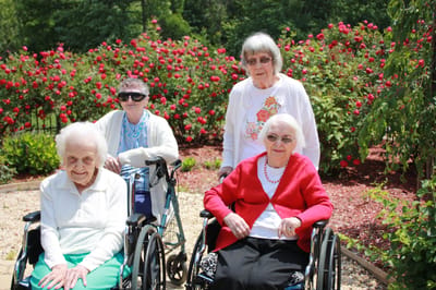 Residents enjoying a sunny day in a rose garden