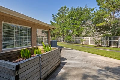 Outdoor area with greenery and a patio