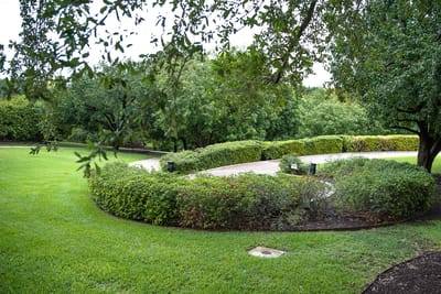Lush green outdoor space with walking paths