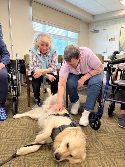 Residents interacting with a therapy dog in a common area