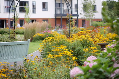 Beautiful landscaped garden with colorful flowers