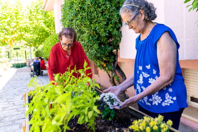 Residents gardening in an outdoor space