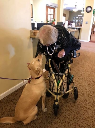 Senior woman interacting with a dog in the facility.