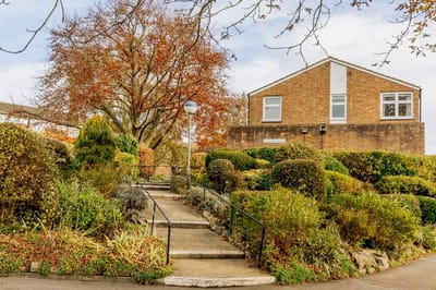 Pathway leading to a building with gardens.