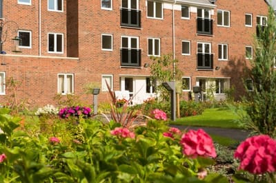 Colorful flowers in a garden with building in the background.
