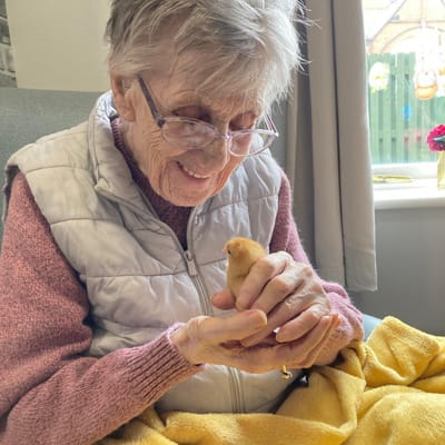 Resident enjoying time with a chick