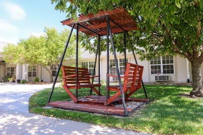 Outdoor swing set with seating under a shaded tree