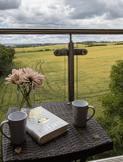 Scenic view from a balcony table with flowers and mugs