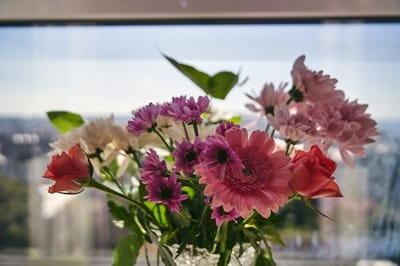 Colorful bouquet of flowers in a sunny setting.