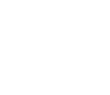 Simplified cat icon walking