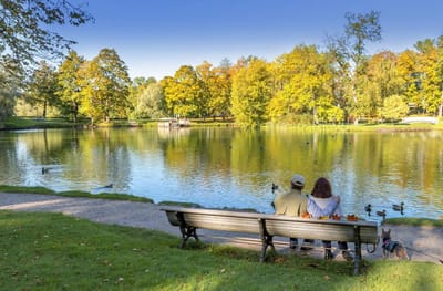 Couple sitting by a peaceful lake in a park