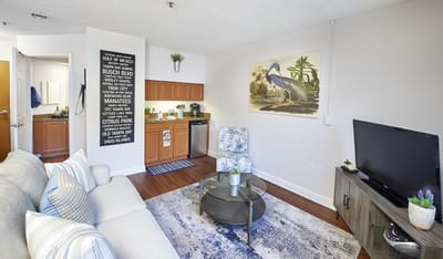 Cozy living room with kitchenette and decor