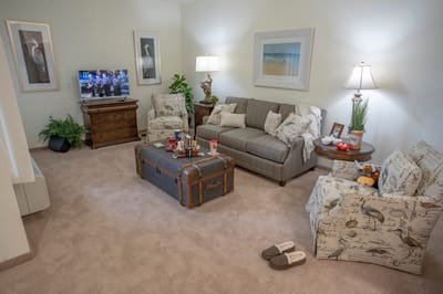 Cozy interior living room area with soft furniture