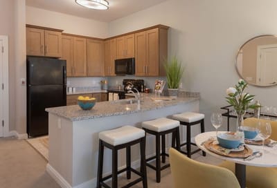 Bright, modern kitchen in a facility apartment