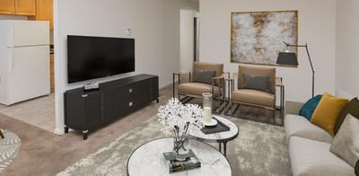 Bright living room area with modern furniture