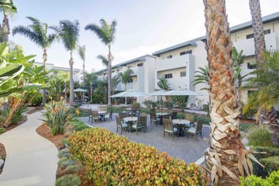 Outdoor courtyard with seating and palm trees