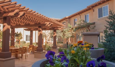 Beautiful outdoor space with flowers and seating area