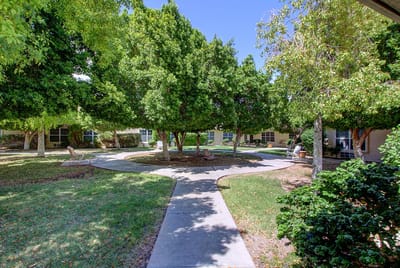 Serene outdoor garden space with shaded pathways