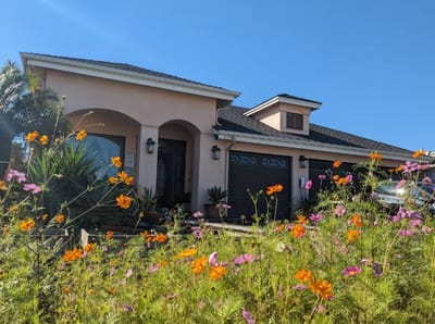Exterior view of a residential building surrounded by flowers