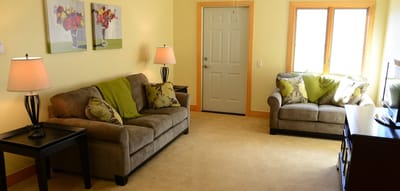 Cozy living room area with sofas and decor