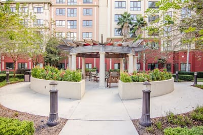 Beautiful outdoor garden seating area with pergola
