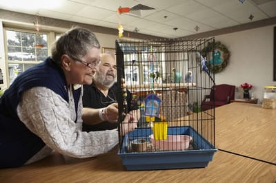 Residents engaging with a birdcage in a communal area