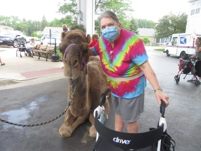 Resident interacting with a camel during an outdoor activity