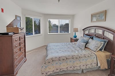 Cozy bedroom with decorative bedding and natural light.