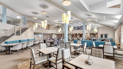 Light-filled dining area with modern decor
