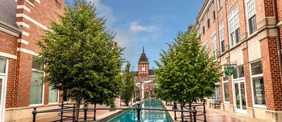 View of trees and walkway in a serene setting