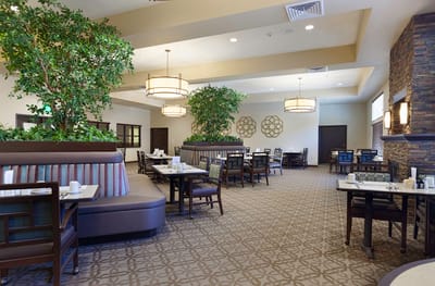 Bright dining room with tables and greenery
