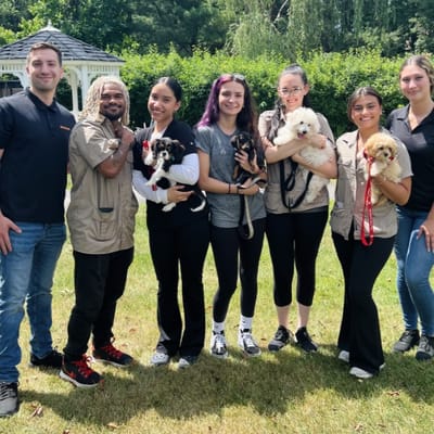 Staff members holding small dogs in an outdoor area
