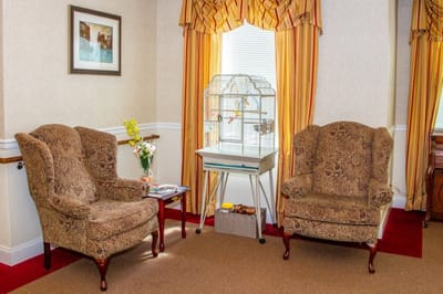 Cozy common area with chairs and a birdcage