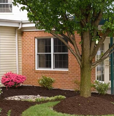 A landscaped outdoor area with flowers and a tree