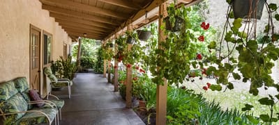 Covered outdoor walkway with hanging plants and seating
