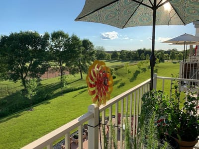 A vibrant outdoor view from a balcony with greenery
