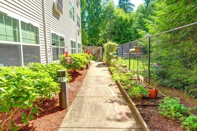 Pathway in a well-maintained garden area