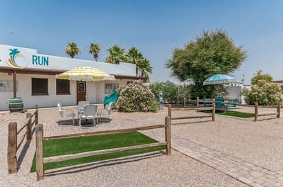 Outdoor seating area with lounge chairs and umbrellas