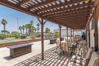 Covered outdoor seating area with palm trees