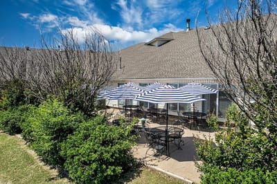 Outdoor seating area with umbrellas and greenery