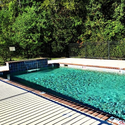 Swimming pool area surrounded by green foliage