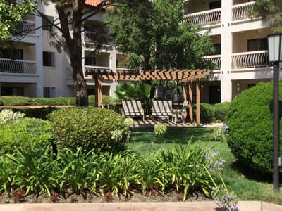 Outdoor seating area with wooden pergola and greenery